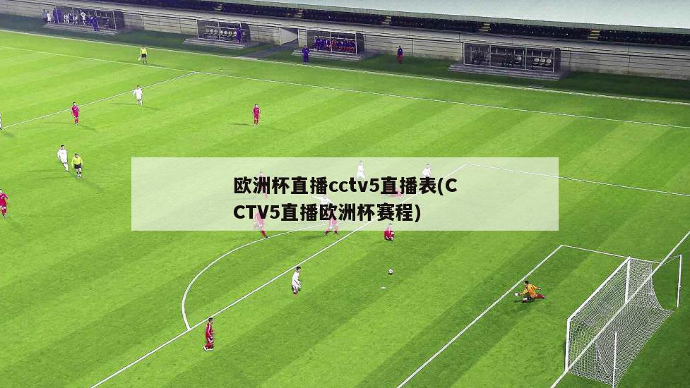 欧洲杯直播cctv5直播表(CCTV5直播欧洲杯赛程)