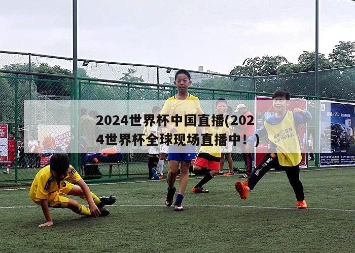 2024世界杯中国直播(2024世界杯全球现场直播中！)